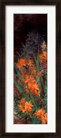 Framed Wild Lily Garden I