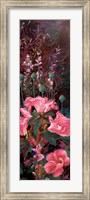 Framed Pink Azalea Garden II