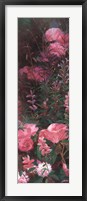 Pink Azalea Garden I Framed Print