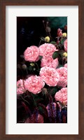 Framed Rose Garden I