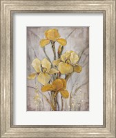 Framed Golden Irises I