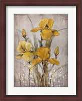 Framed Golden Irises II