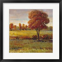 Framed Field in Fall