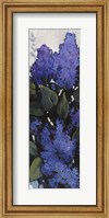 Framed Lilac Spray I