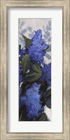 Framed Lilac Spray II