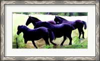 Framed Guilford Horses II