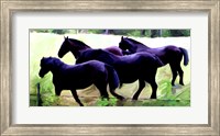 Framed Guilford Horses II