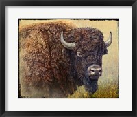 Framed Bison Portrait I