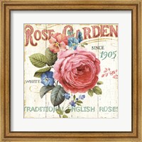 Framed Rose Garden I