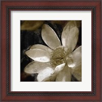 Framed Bronze Lily I