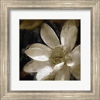 Framed Bronze Lily I