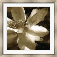 Framed Bronze Lily III