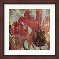 Framed Pacific Orchid I