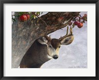 Framed Apple Deer