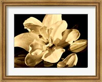 Framed Yvoire Flower I