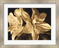 Framed Yvoire Flower II