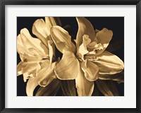 Framed Yvoire Flower II