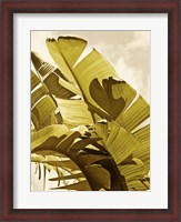 Framed Palm Fronds I