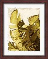 Framed Palm Fronds II