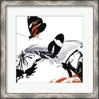 Framed Butterfly Inflorescence III