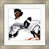 Framed Butterfly Inflorescence III