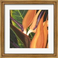 Framed Bird Of Paradise Tile I