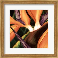 Framed Bird Of Paradise Tile II