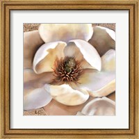Framed Magnolia Masterpiece II