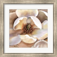 Framed Magnolia Masterpiece II