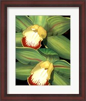 Framed Lime Orchid I