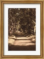 Framed Road to St.Remy