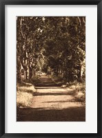 Framed Road to St.Remy