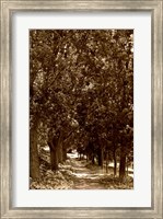 Framed Road to Giverny