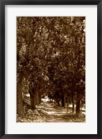 Road to Giverny Framed Print