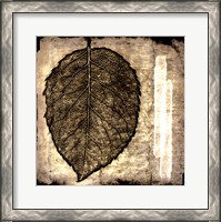 Framed Fall Leaves III