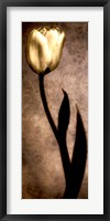 Framed Damask Tulip I