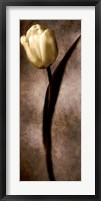 Framed Damask Tulip II