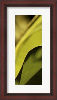 Framed Leaf Detail I