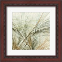 Framed Fractal Grass VI