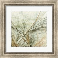 Framed Fractal Grass VI