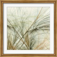 Framed Fractal Grass VI