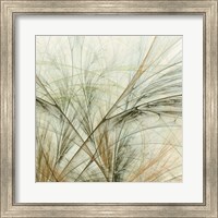 Framed Fractal Grass VI