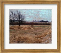 Framed Fields I