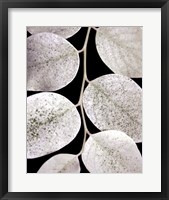 Framed Leaf Design I