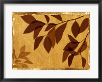 Ghost Leaves II Framed Print