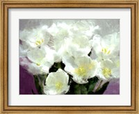 Framed Sunlit Tulips I