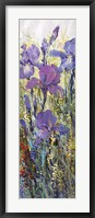 Framed Iris Field I