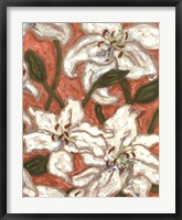Lily Menagerie II Framed Print