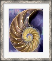Framed Shell Extraction II