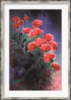 Framed Vibrant Poppies